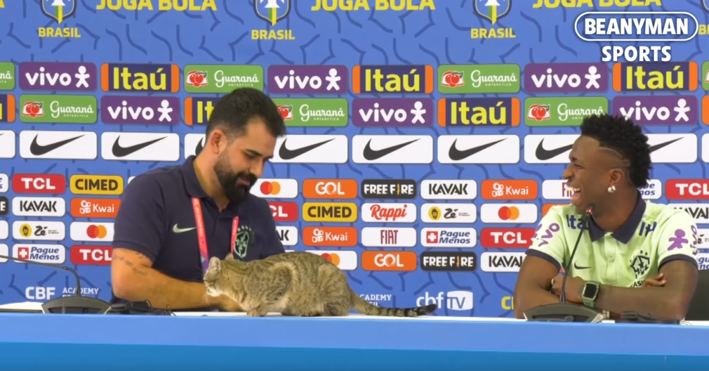 Funny cat makes the Brazilian player laugh at the 2022 World Cup in Dubai